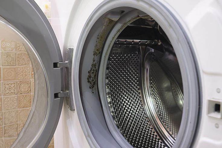 Máy giặt bị nấm mốc? Cách diệt mùi và chống tái phát